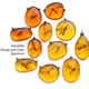 Illustration for article titled Lovely, Creepy Necklaces Made from Insects Caught in Amber